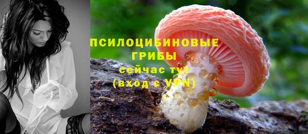каннабис Беломорск