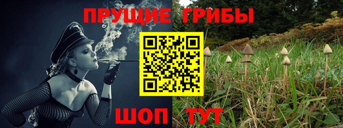 Валуйки  Псилоцибиновые грибы прущие грибы  Вход с VPN  Галлюциногенные грибы прущие грибы 