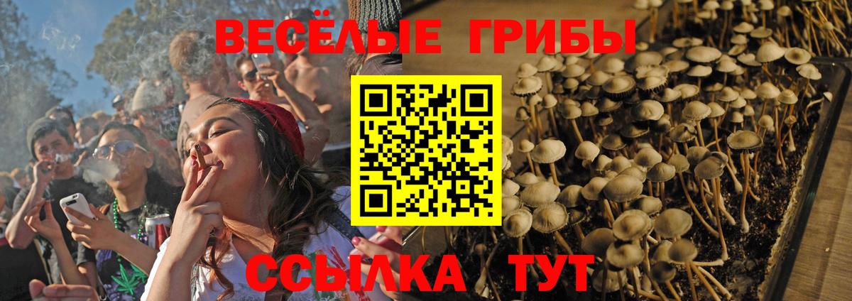 Псилоцибиновые грибы мухоморы Валуйки